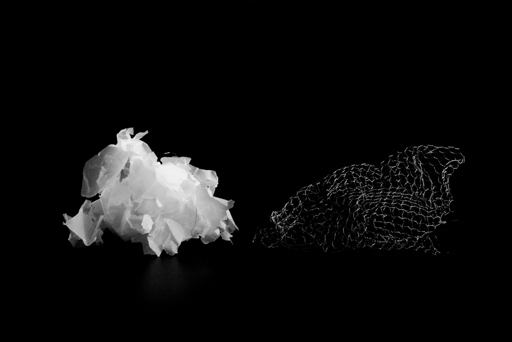 studymodel (1 of 1) - Copy.jpg