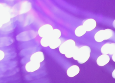 What is going on at the Misfit Gallery?