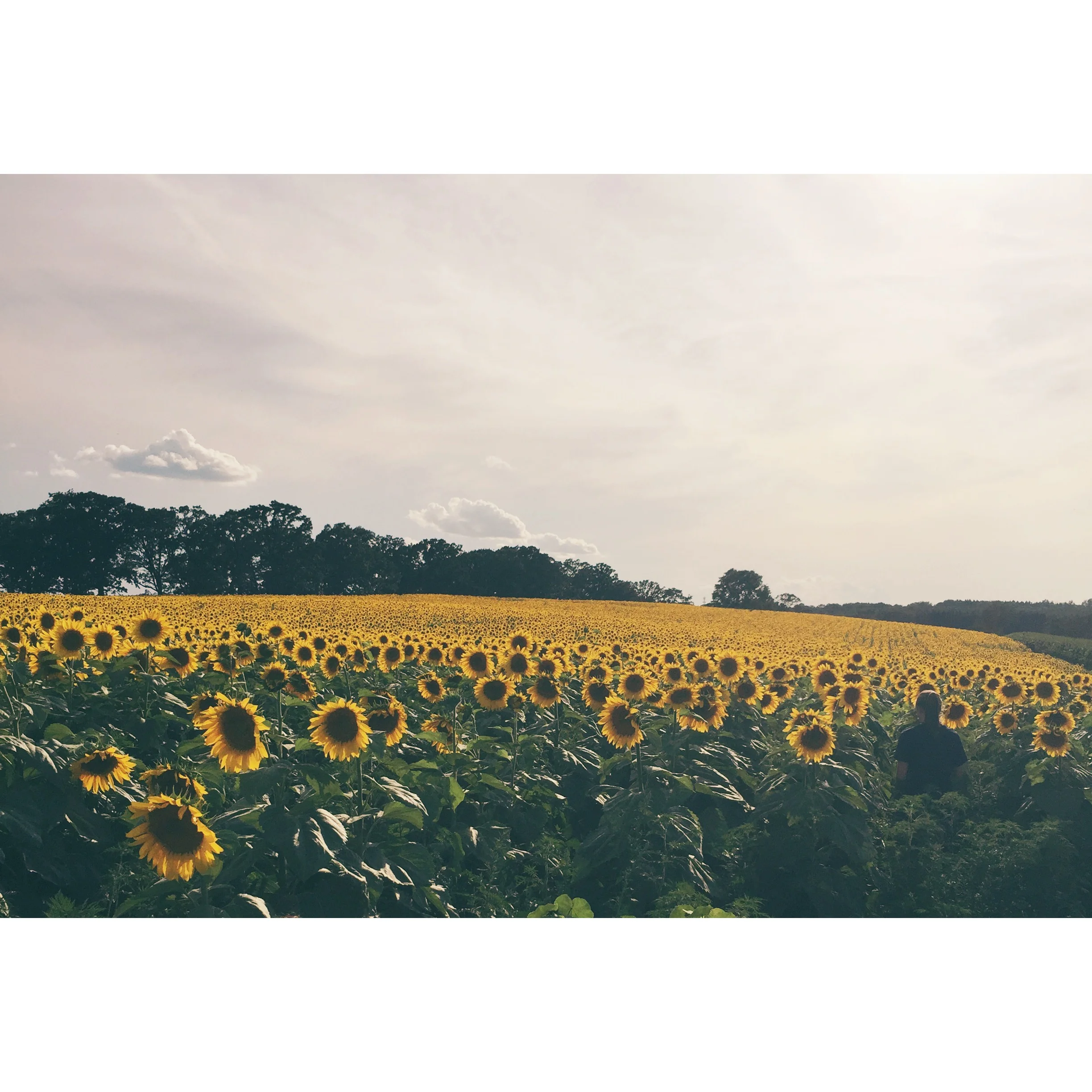 5 steps to following your bliss guilt-free