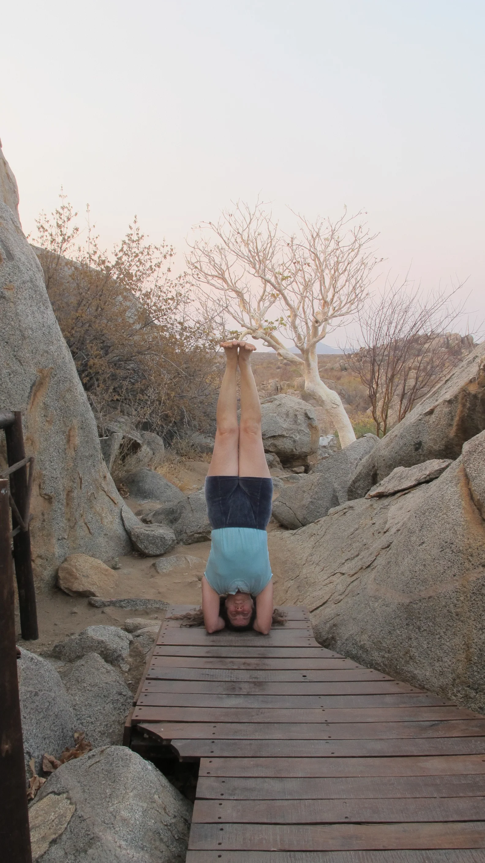  November 7-9, 2017   Teacher Education All Levels   Pre-requisite: CIYT any level or mentoring with Lois for Intro I/II   Iyengar Yoga Champaign Urbana    Download Syllabus &amp; Registration    Pay Tuition        