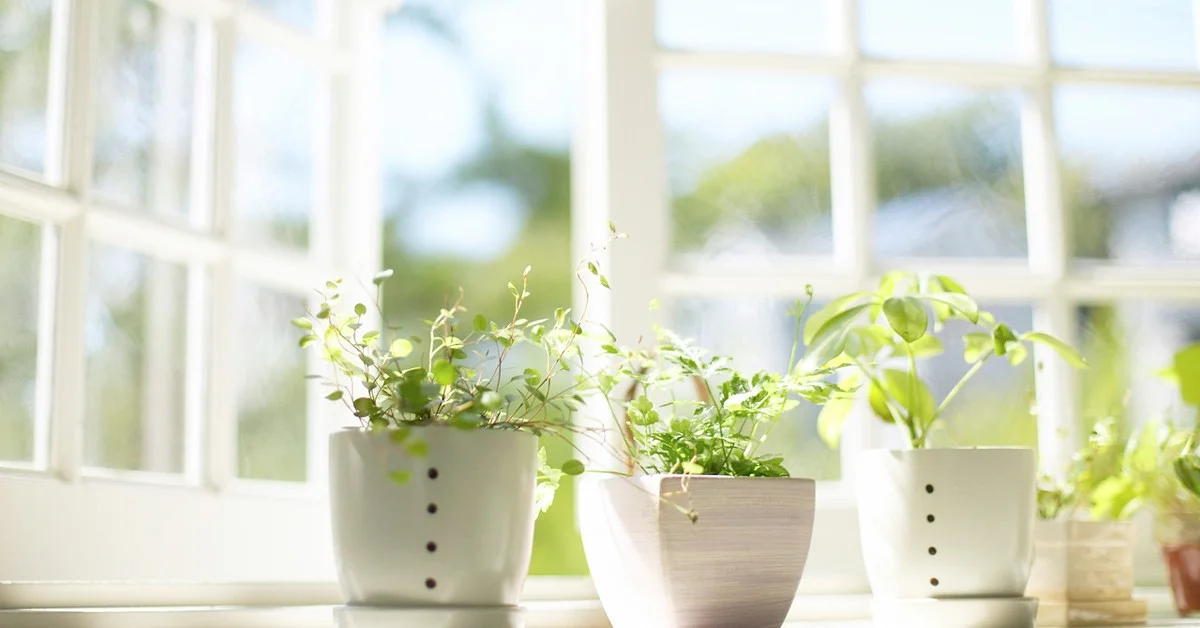 Dealing with excessive condensation