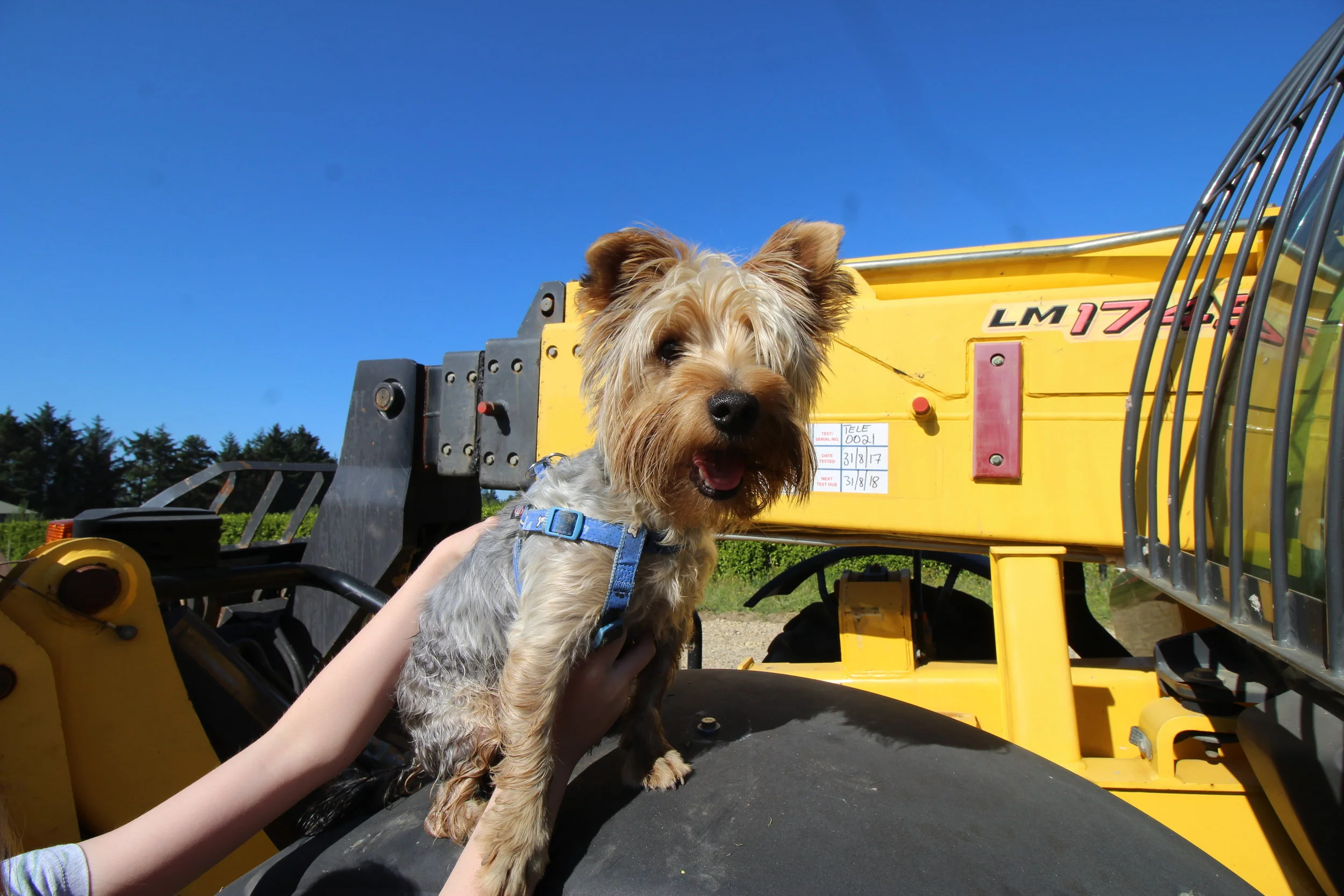 N.P.L.H.  New home sealed tight - Update No 6