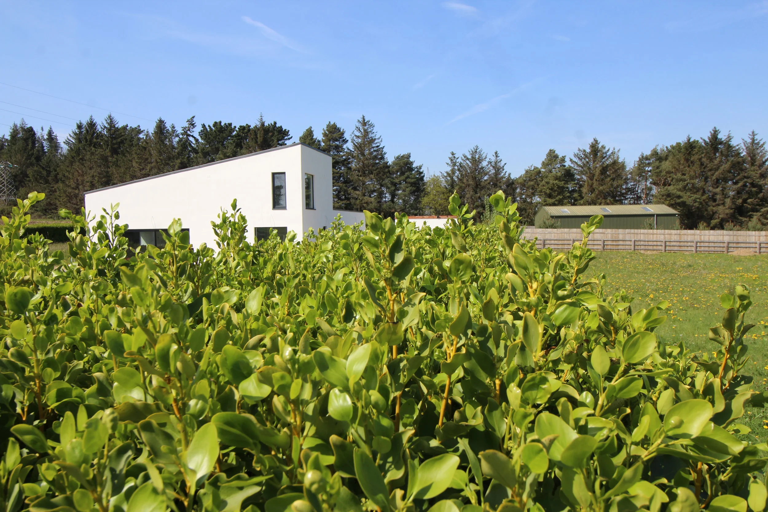 N.P.L.H. Self build bliss, the finishes - Update No 7