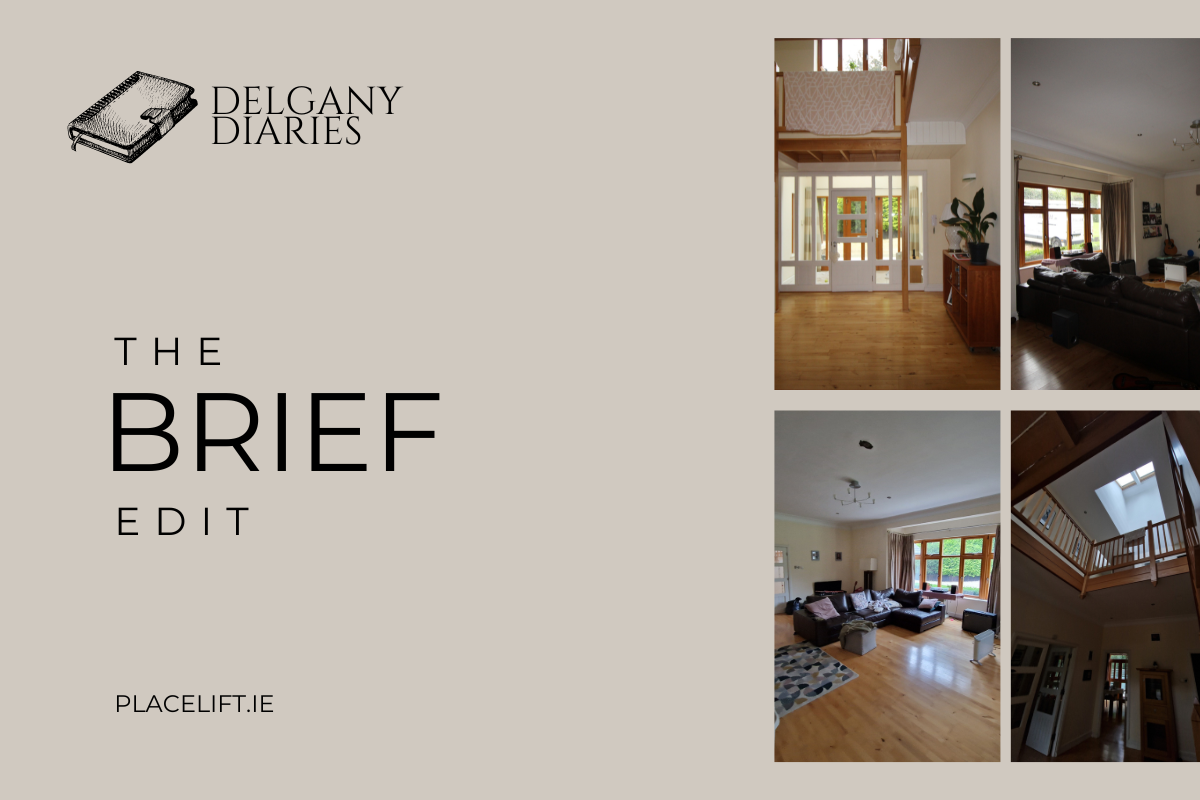 DELGANY DIARIES - THE BRIEF EDIT