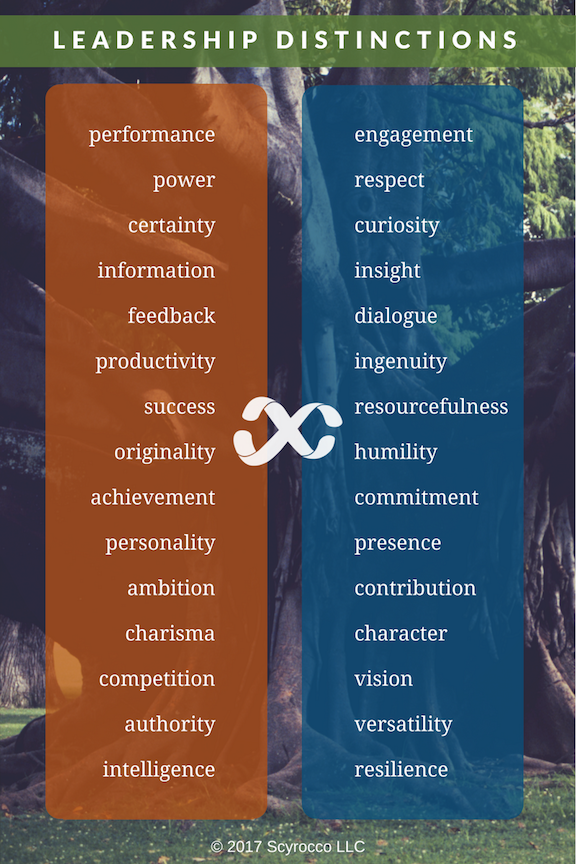As organizational structures continue to move from rigid hierarchies to open networks, the business world is experiencing a cultural shift from shareholder-value to stakeholder-contribution. This has a direct impact on how you, as a forward-looking leader, design your interaction with your key ‘constituencies’ (at work and beyond).