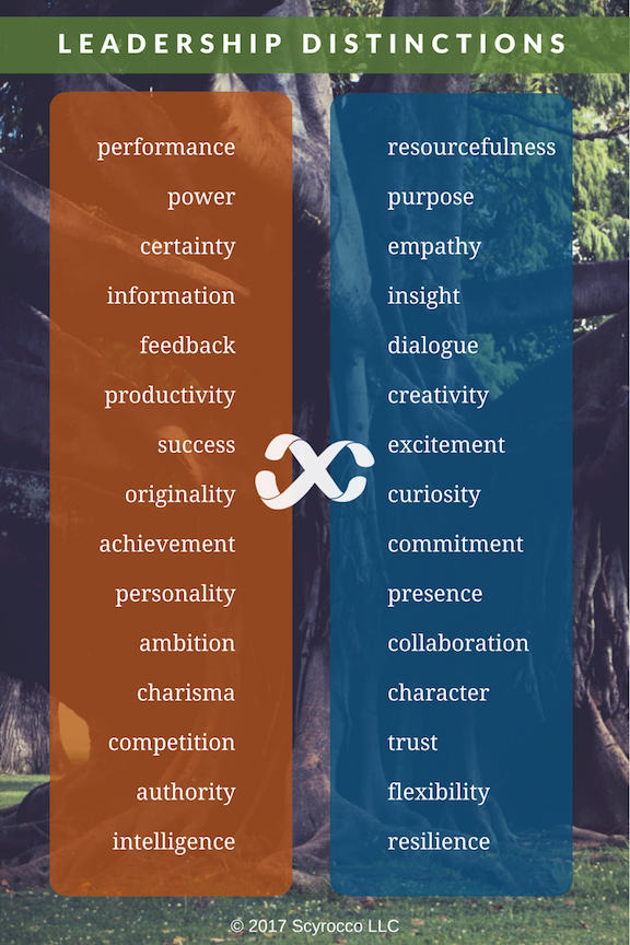 Leadership Distinctions rev Nov2017.png