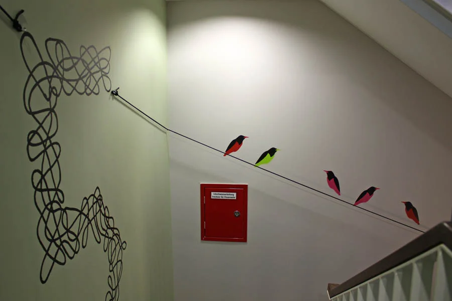 birds_IMG_9973.jpg
