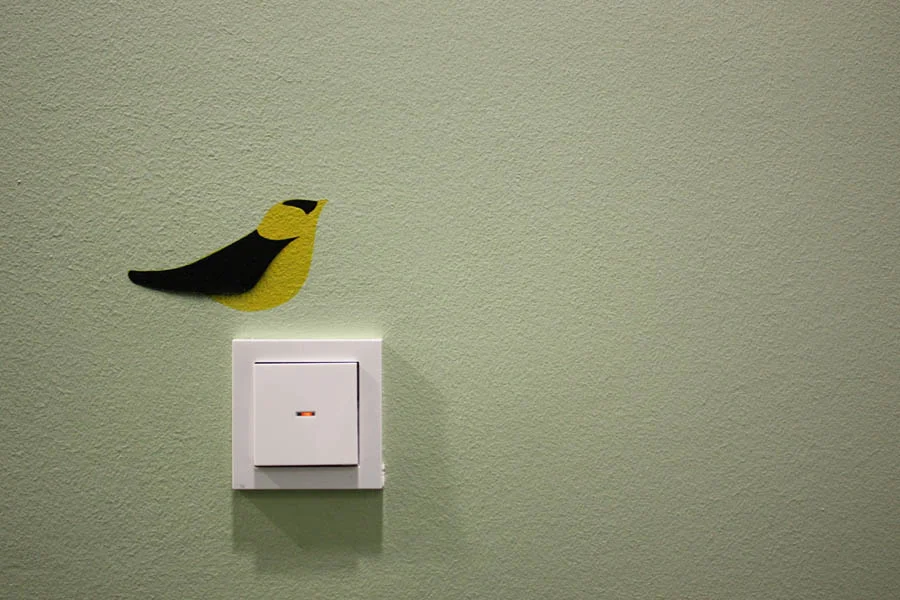 birds_IMG_9972.jpg
