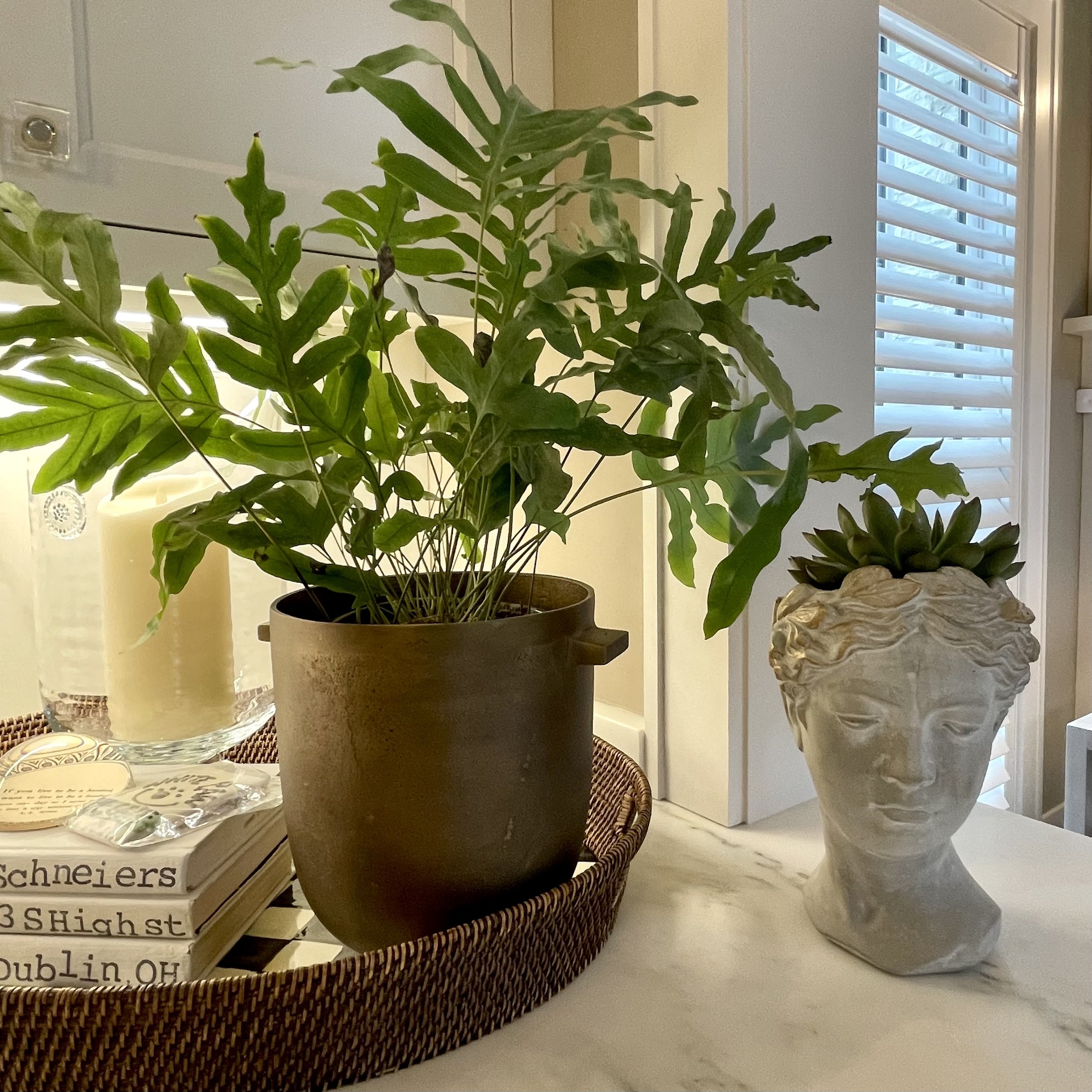 Photo Mar 17 2023, 1 13 41 PM.jpg