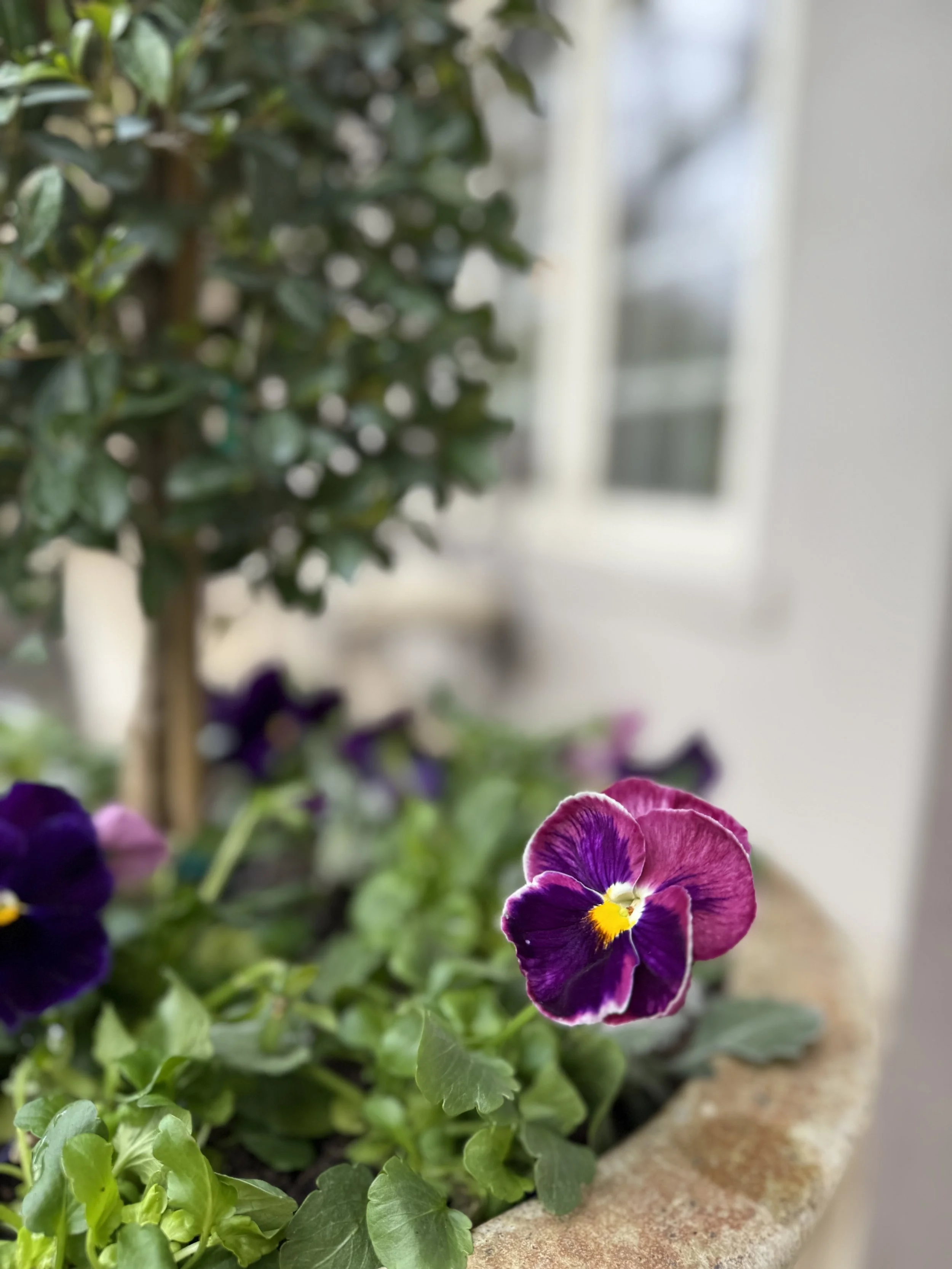 Photo Apr 15 2025, 12 33 33 PM.jpg