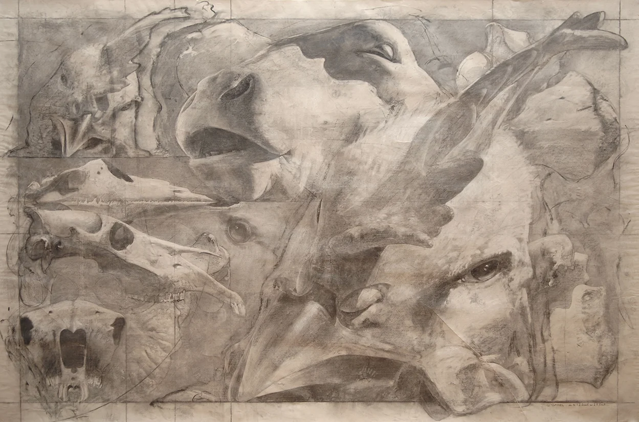 Palimpseste II