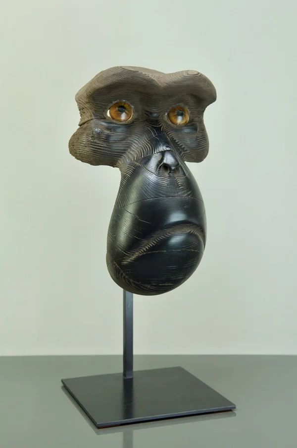 Masque de macaque