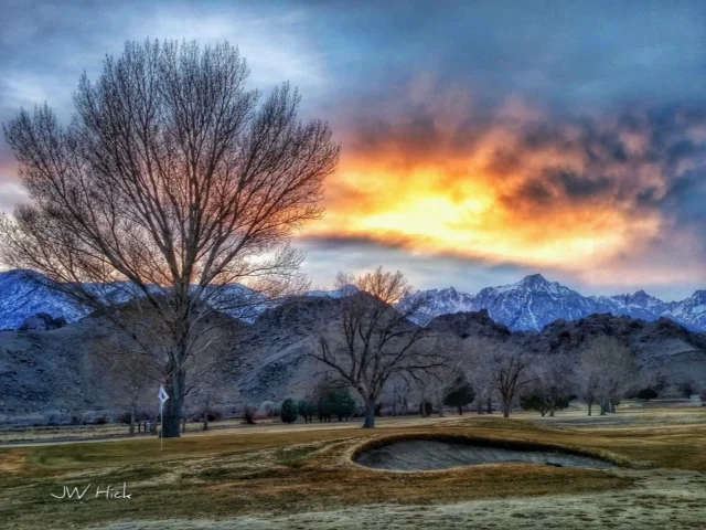 Photo by Jayme Williams