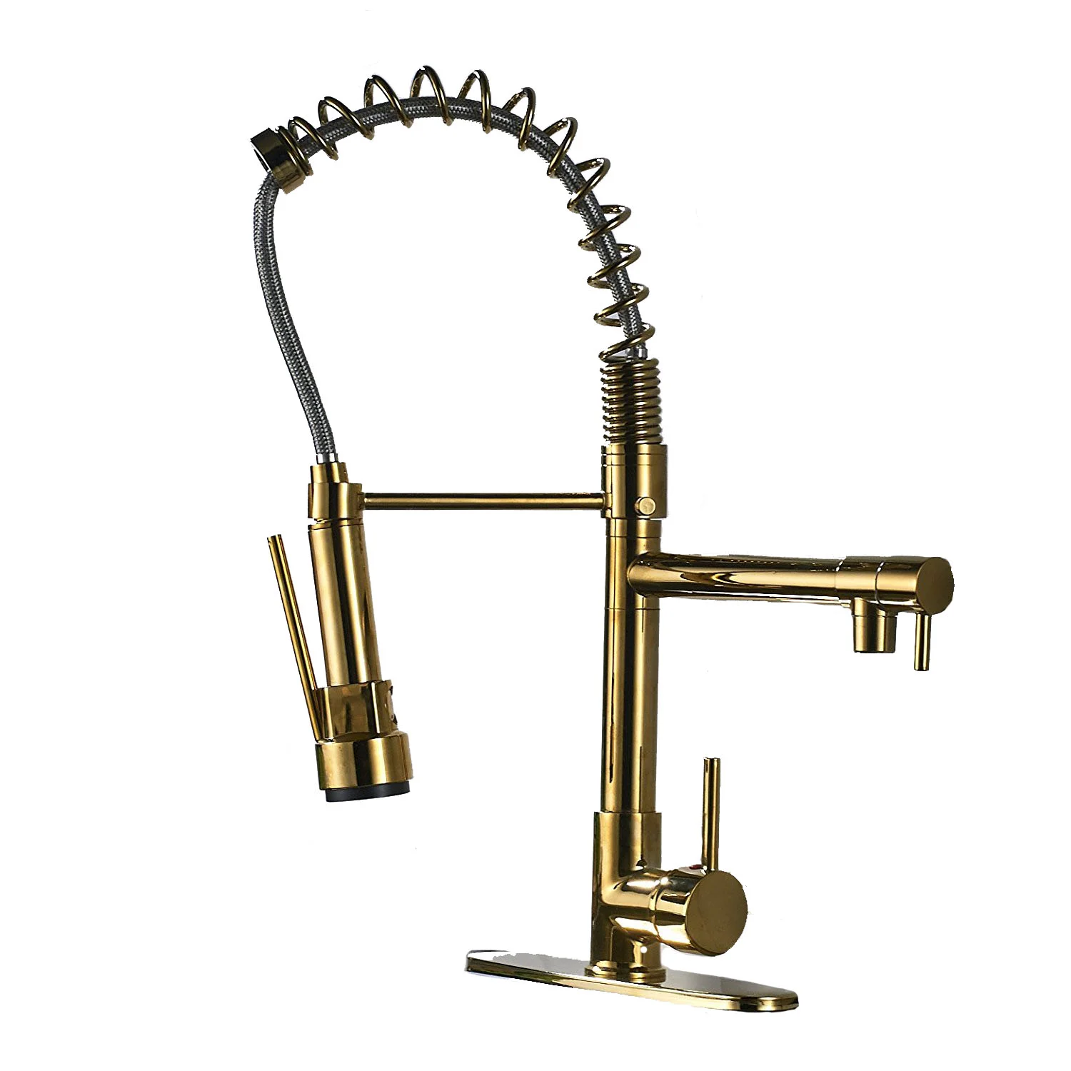 Rozin Gold Faucet