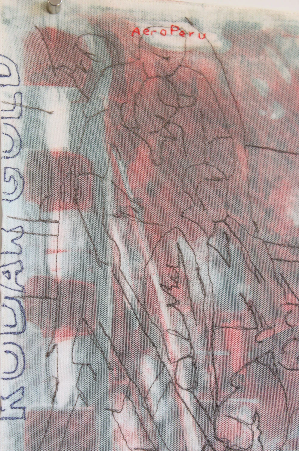 Detail of AeroPerú (Theirs and Almost Mine)