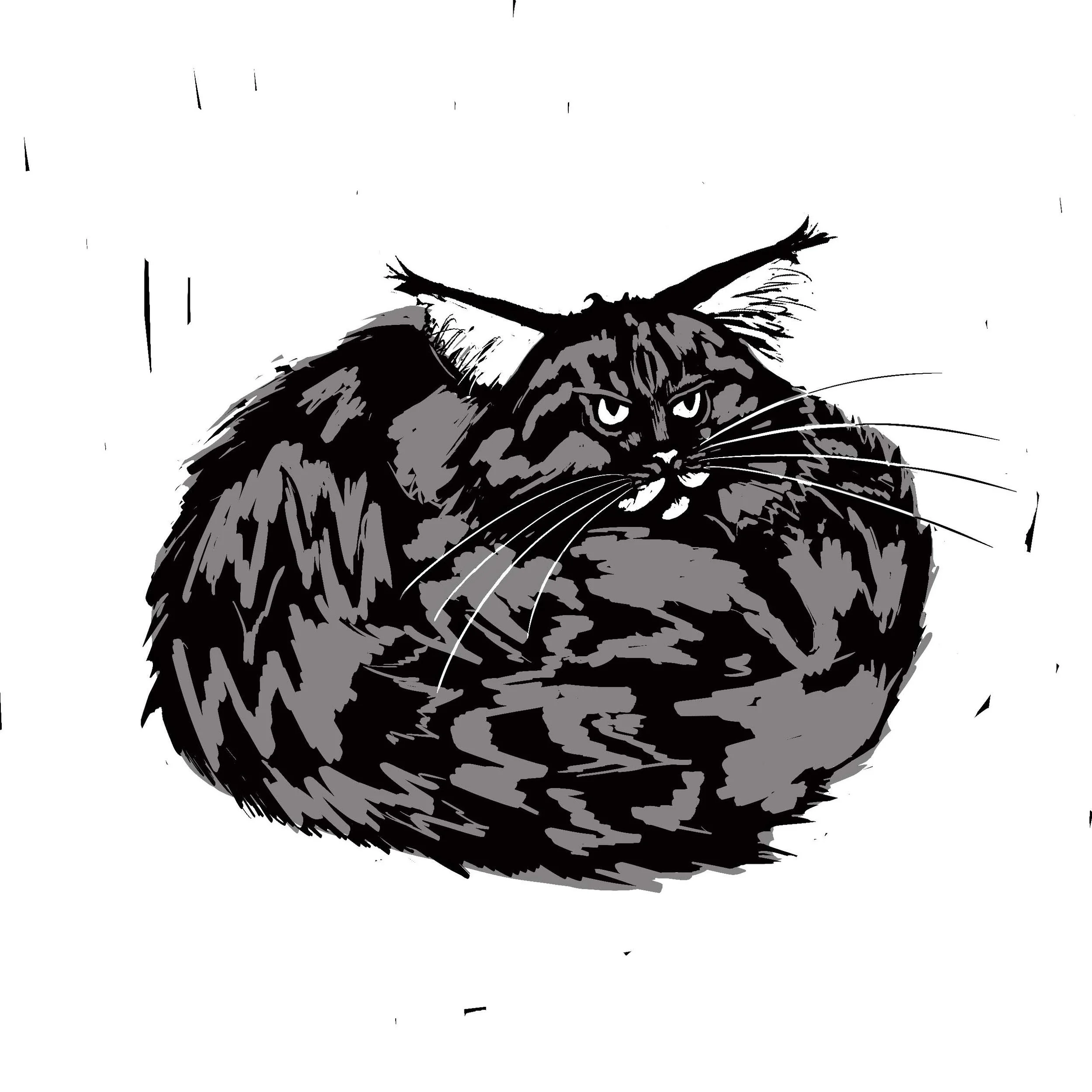 Black and white digital illustration of a cat with piercing eyes, a Maine Coon, with long whiskers and textured fur, looking directly forward. This is a witch's familiar in a young adult YA fantasy novel.