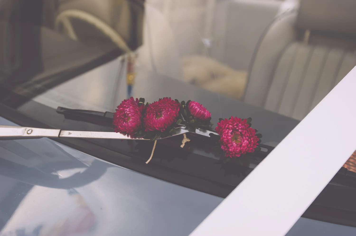 St Agnes Wedding Photographer