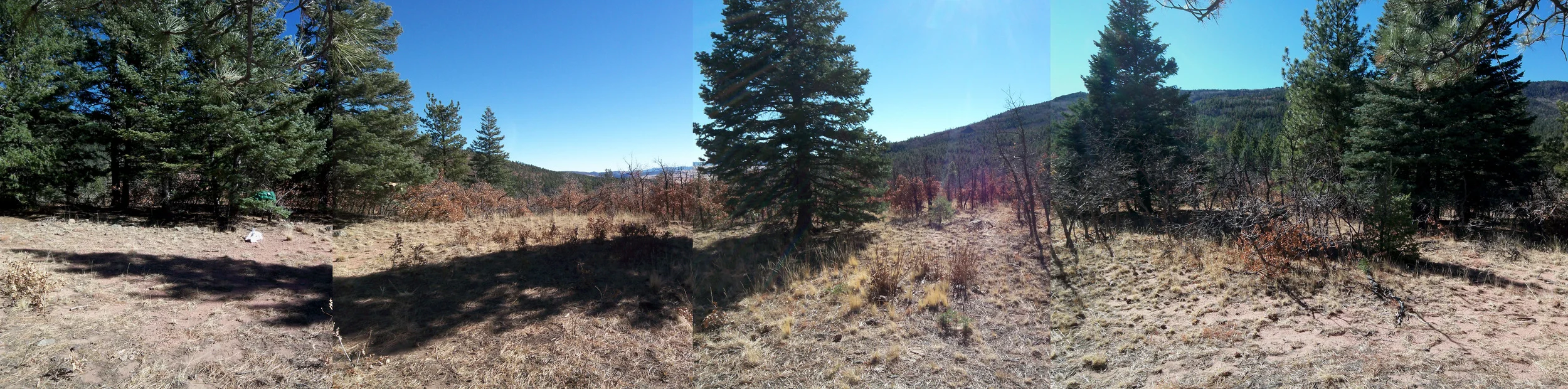 panoramic_01.jpg