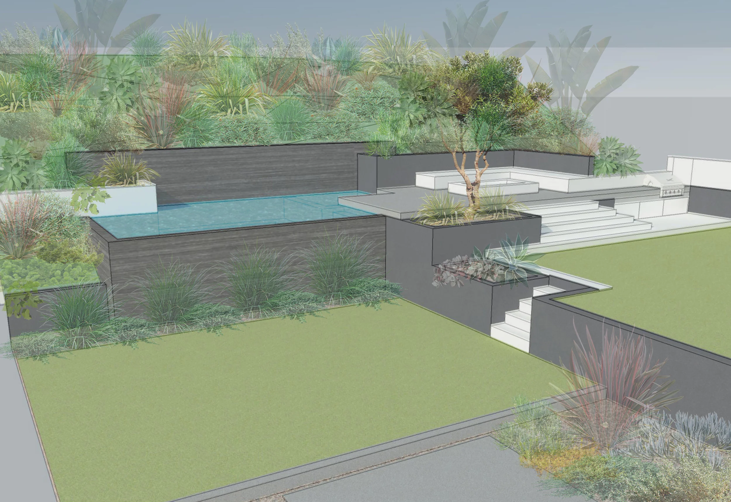 16-1019_SHL_LOWER VIEW_PLANTS.JPG