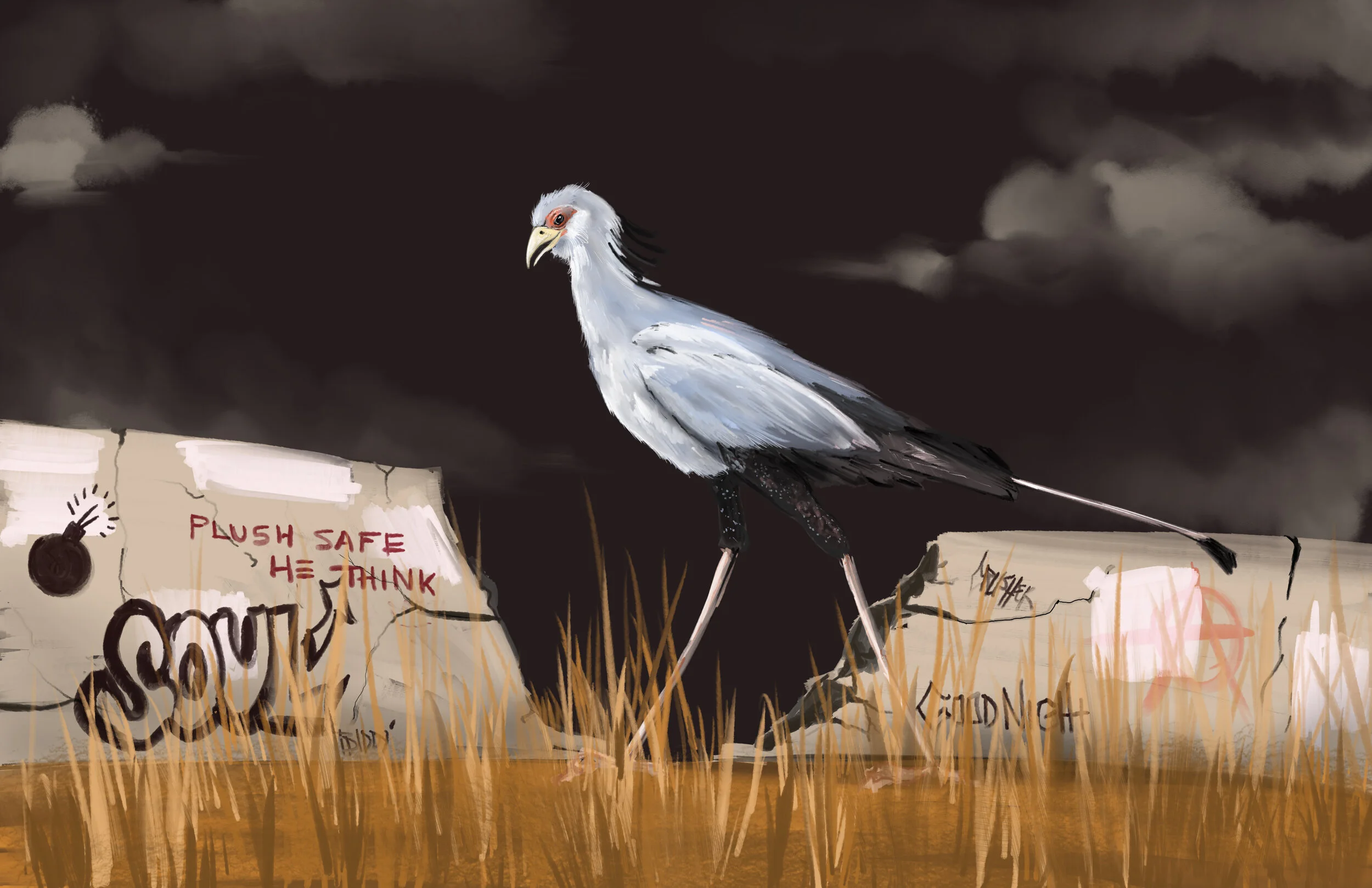 Birdgraff