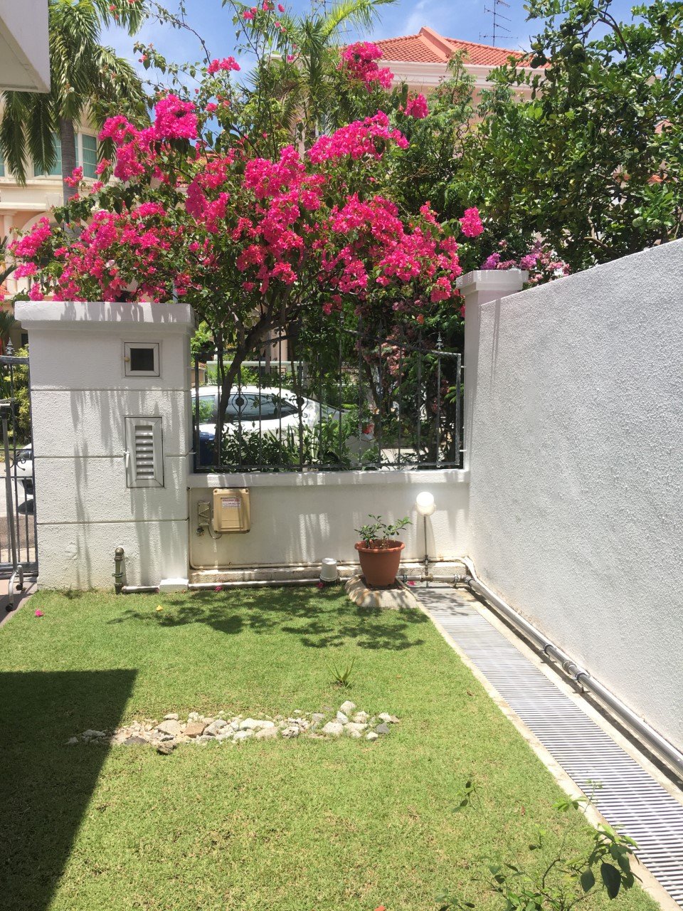 Front Garden.jpg