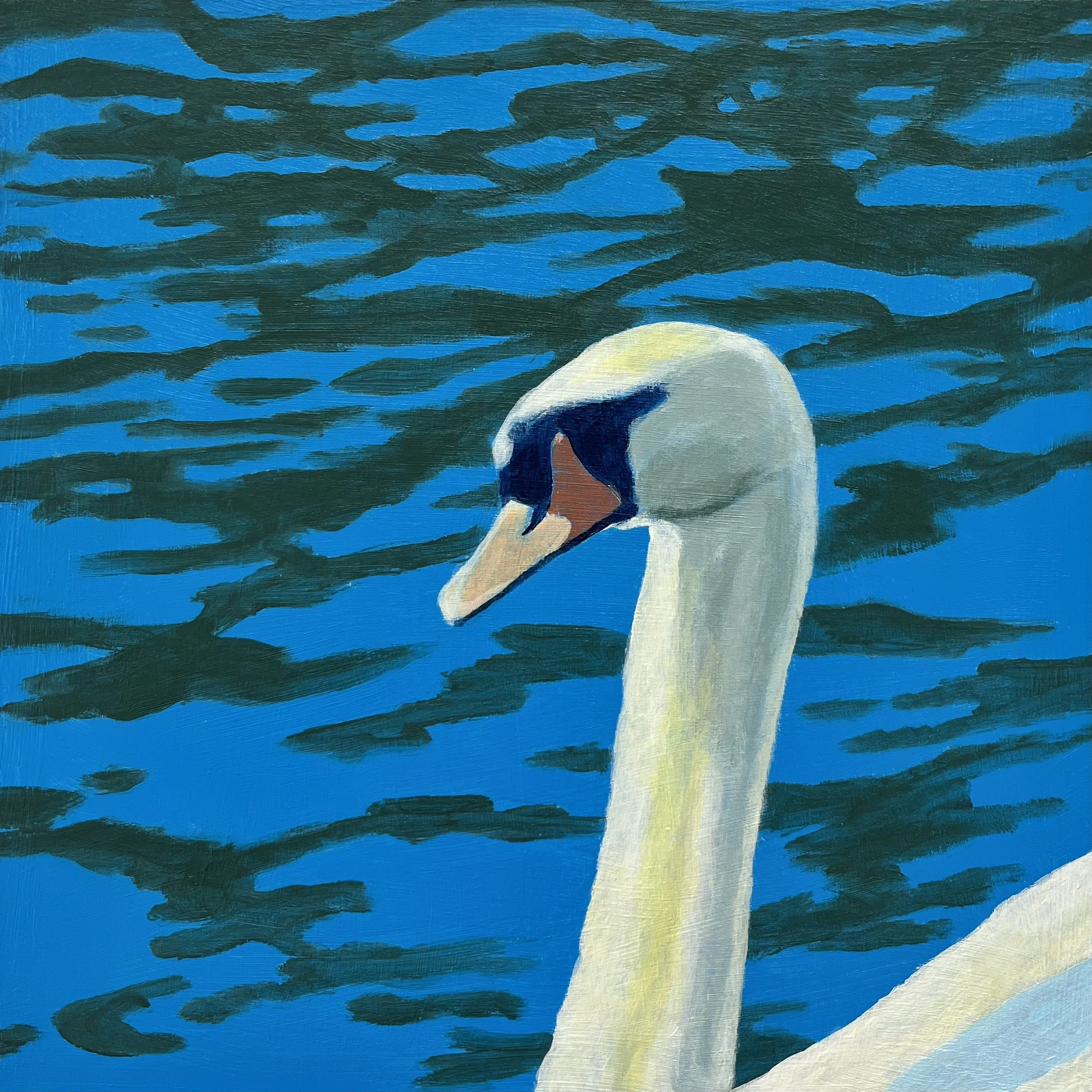 what are you looking at swan