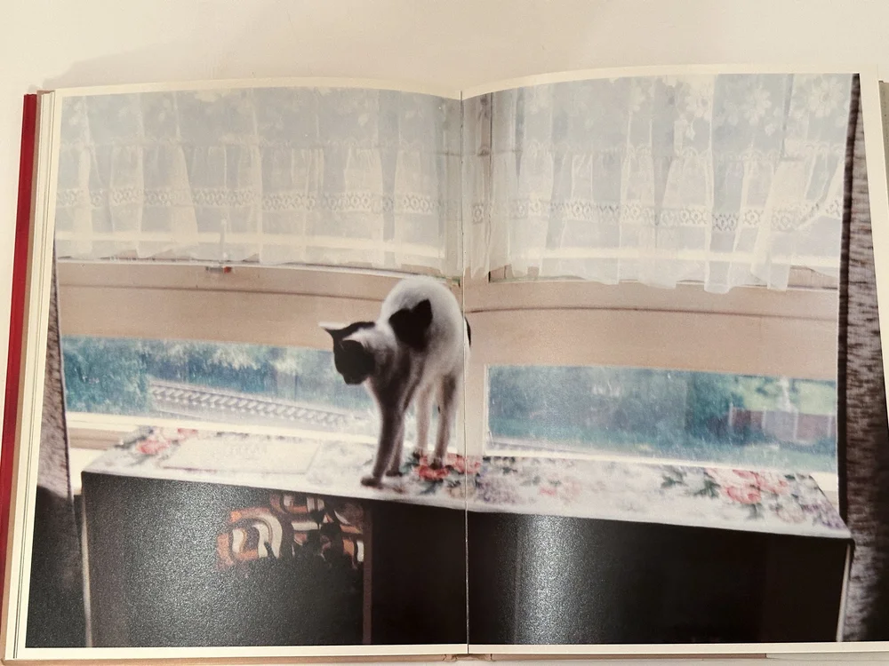 Books - PhotoBookArts