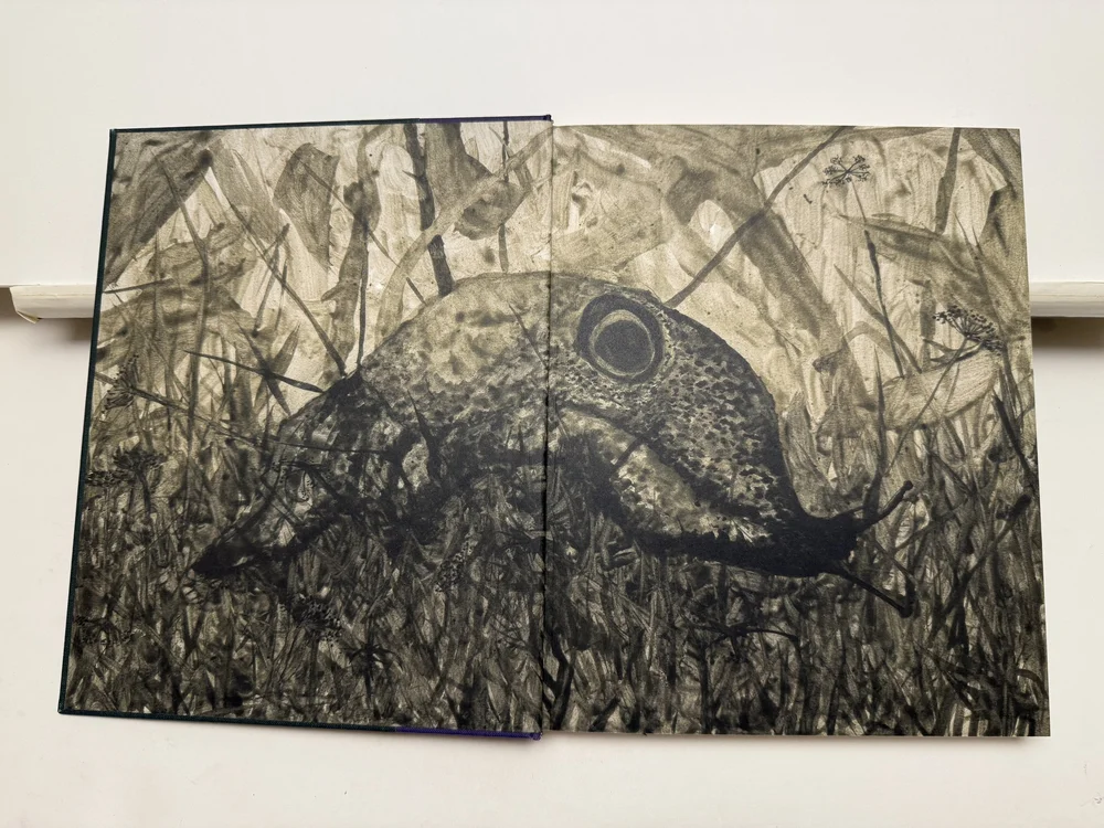 Books - PhotoBookArts