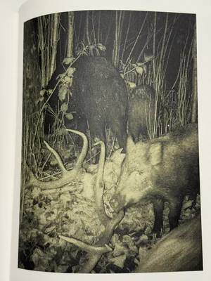 サイン入り❗️新品【Night Procession】Stephen Gill Books - PhotoBookArts