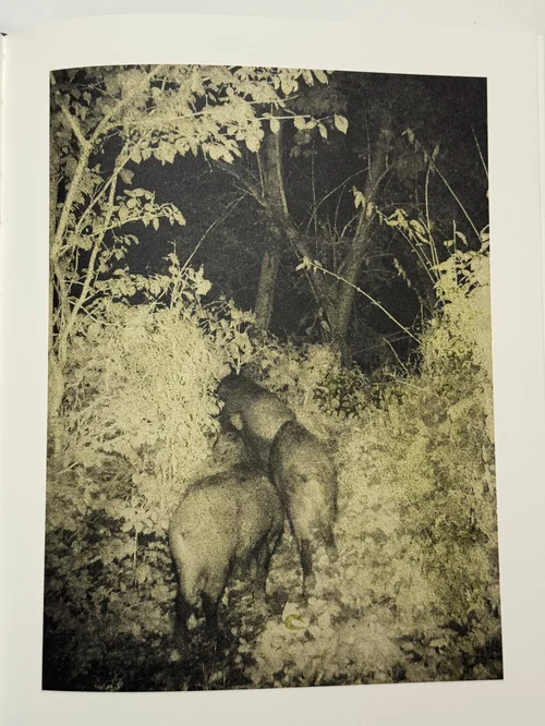 Books - PhotoBookArts