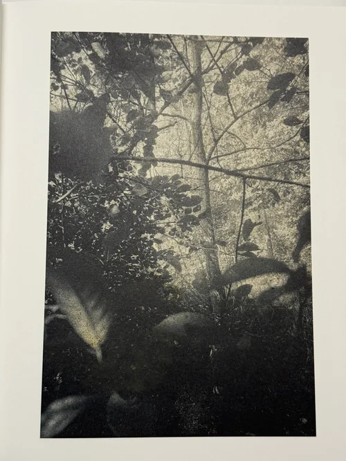 Books - PhotoBookArts