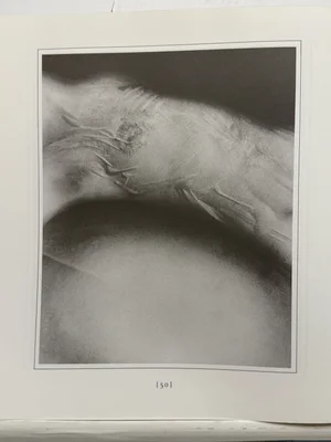 Books - PhotoBookArts