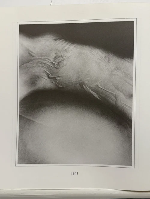 Books - PhotoBookArts