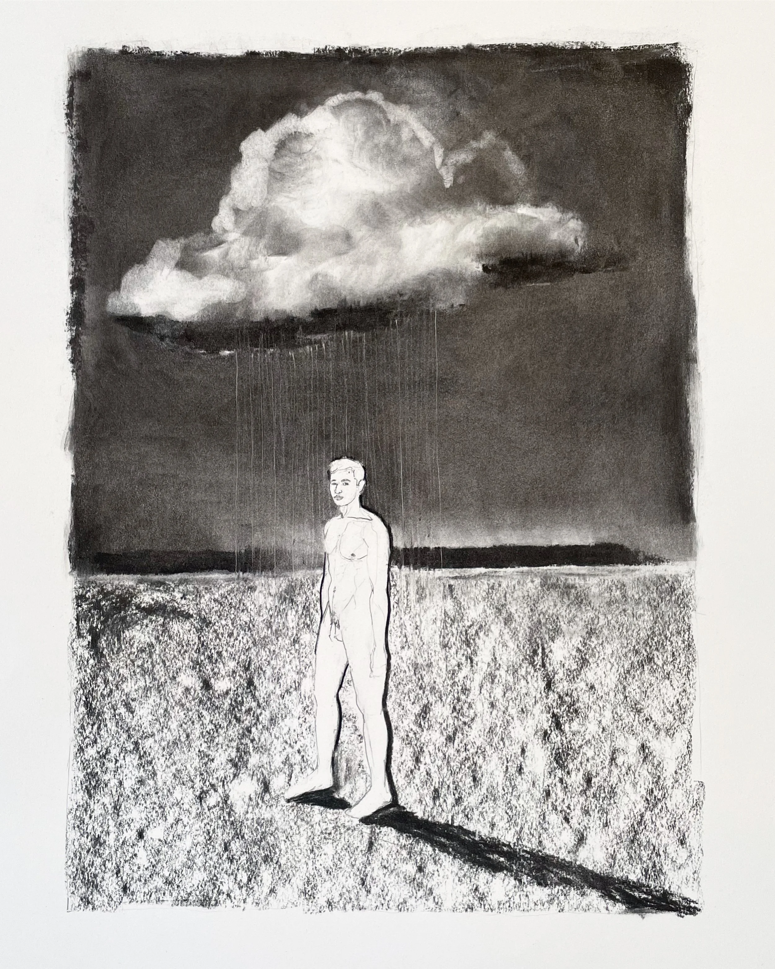 Things I Can't Say Out Loud / 14 x 20 inches / charcoal and pencil on stonehenge drawing paper
