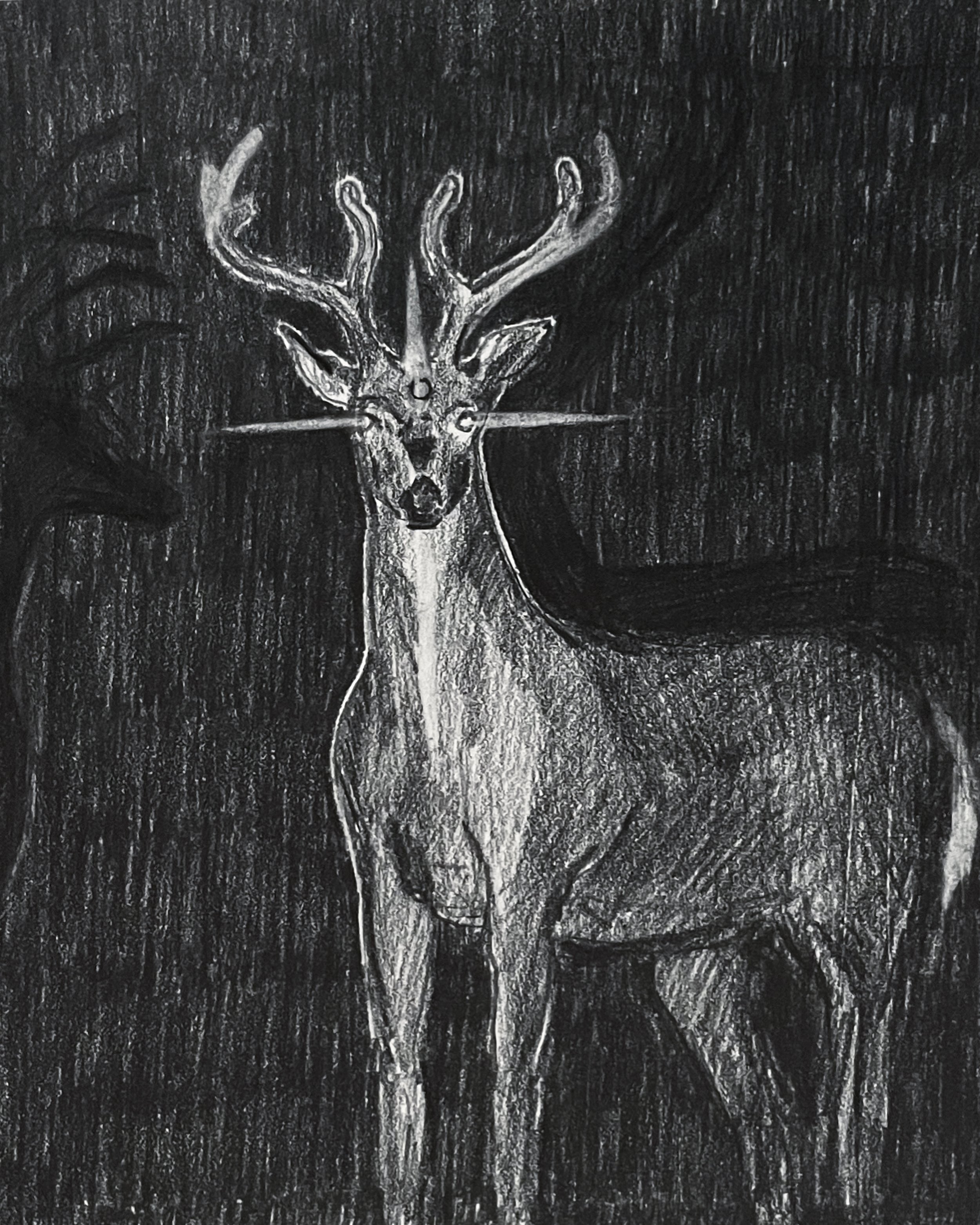 Passing Through, I Found You | graphite on drawing paper | 8 x 10 inches