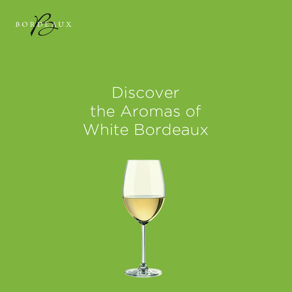 Château Bonnet Blanc 2013.gif