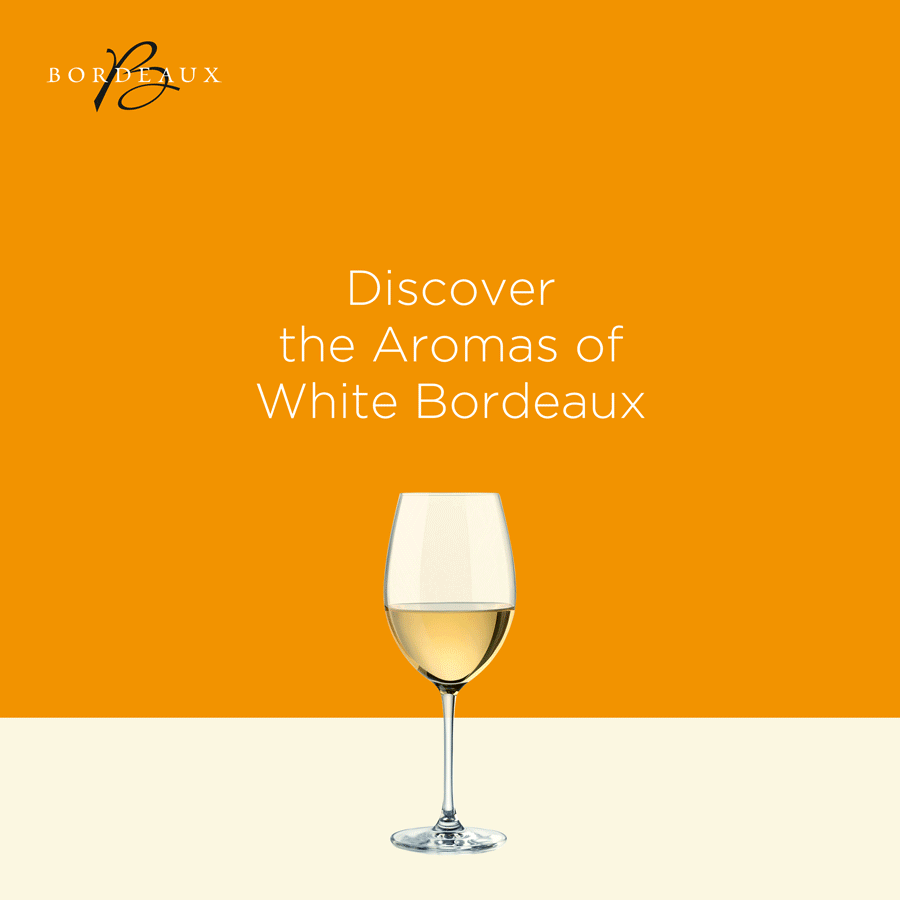 Clarendelle Blanc 2012.gif