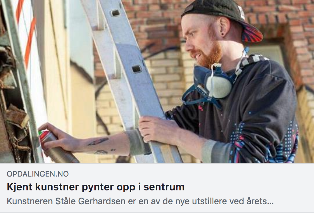 Skjermdump fra opdalingen.no
