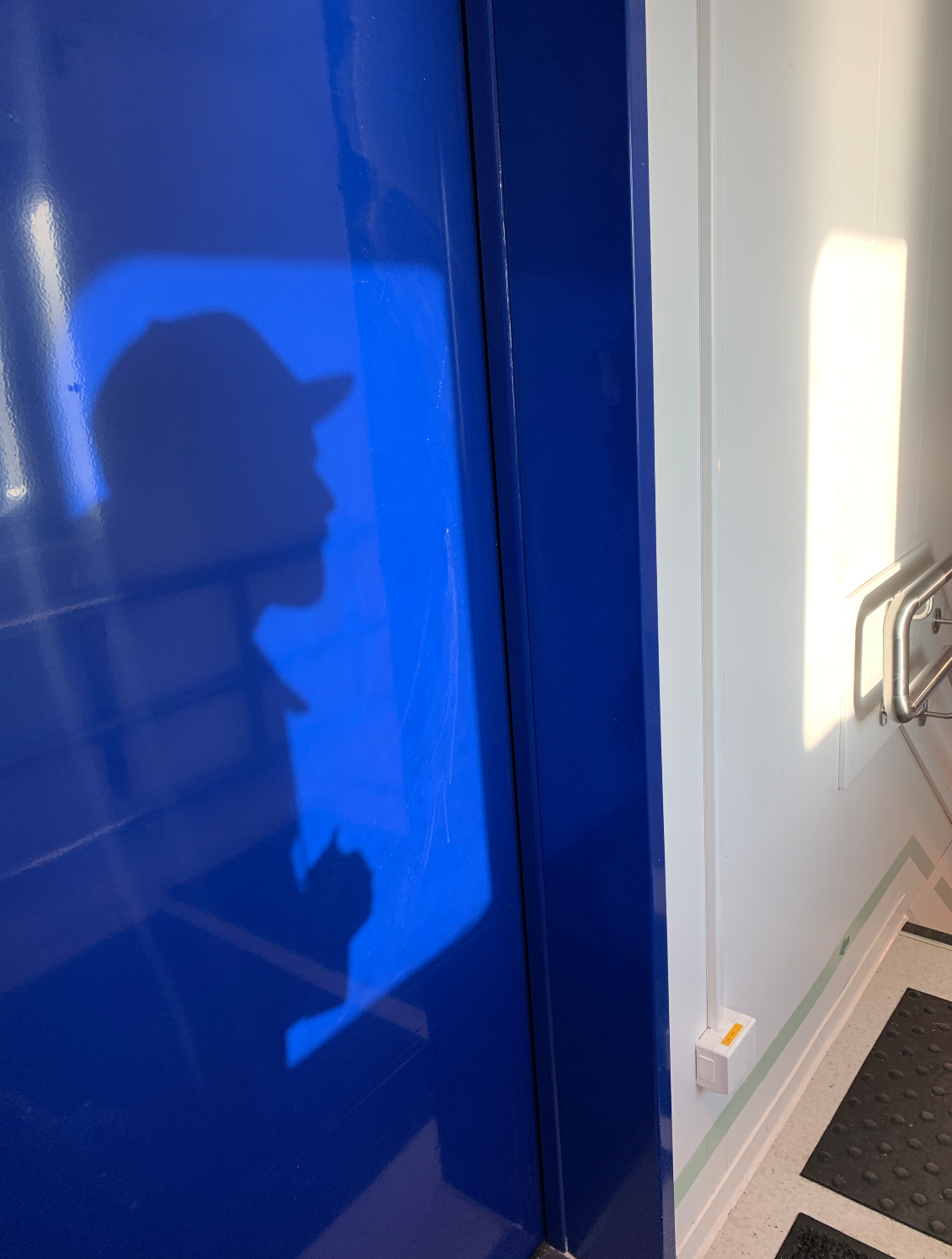 Fergemann i skyggeland