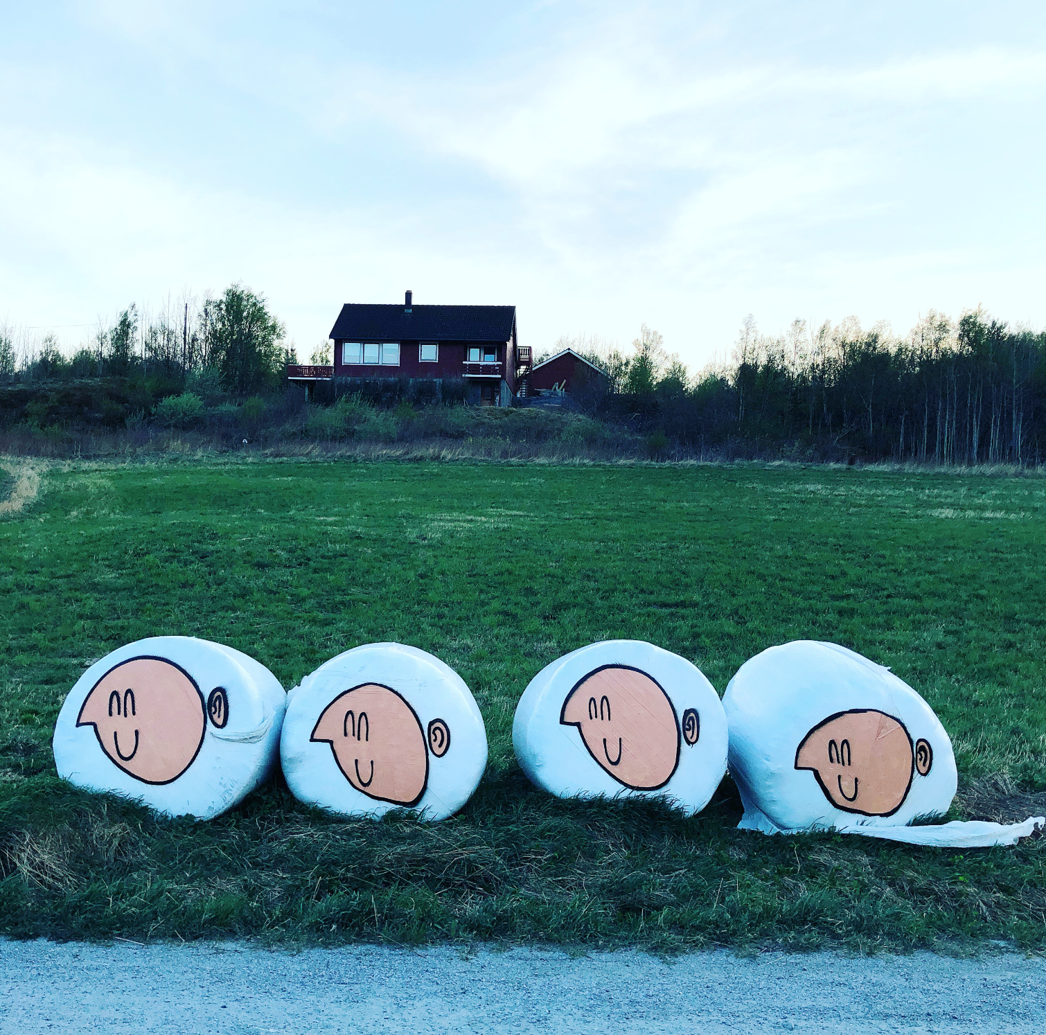 Så, etter at veggen var ferdig, lagde jeg fire kompiser til.