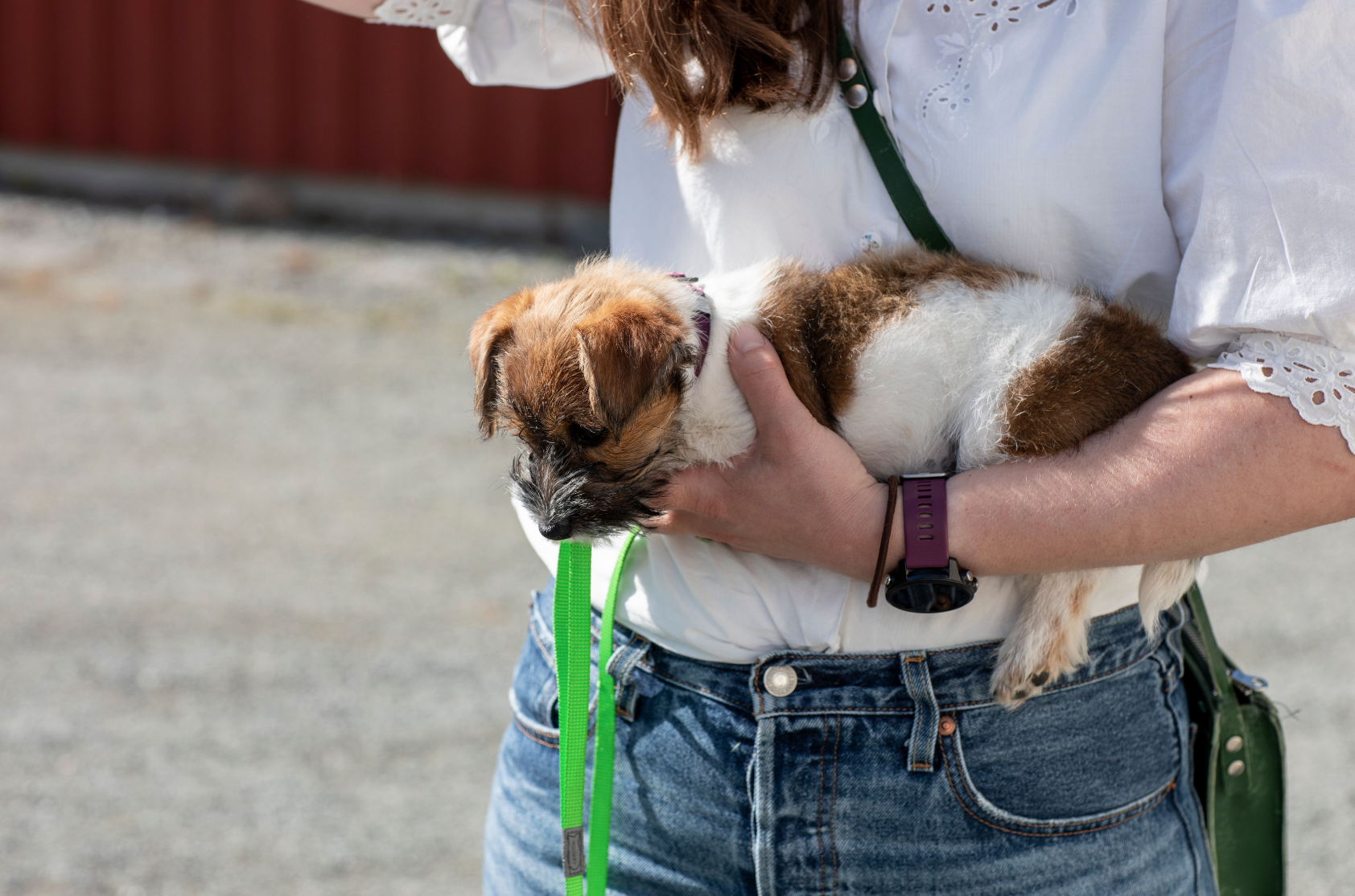 Screenshot 2023-09-04 at 08.49.45.png