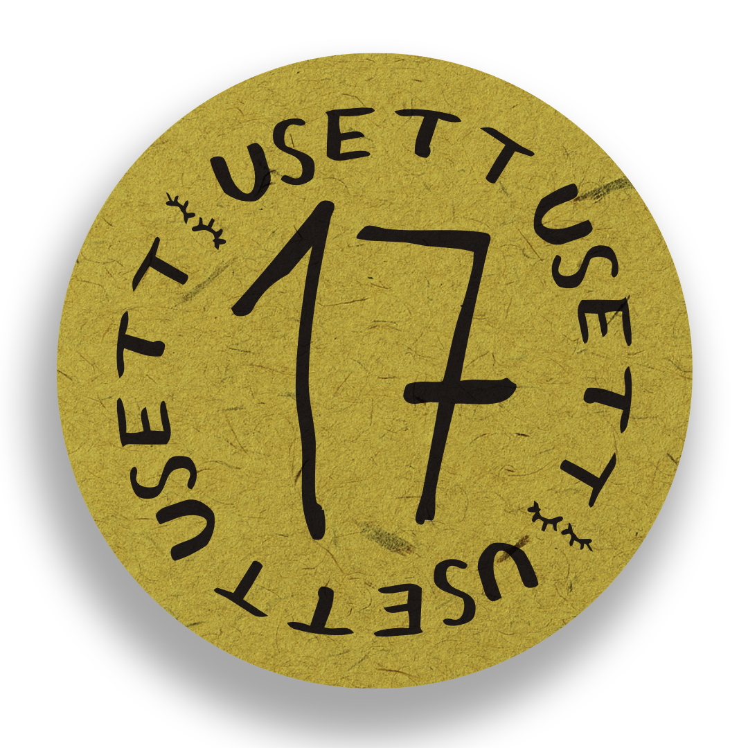 usett17.png