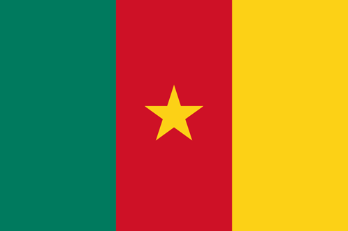 cameroon-flag-small.png