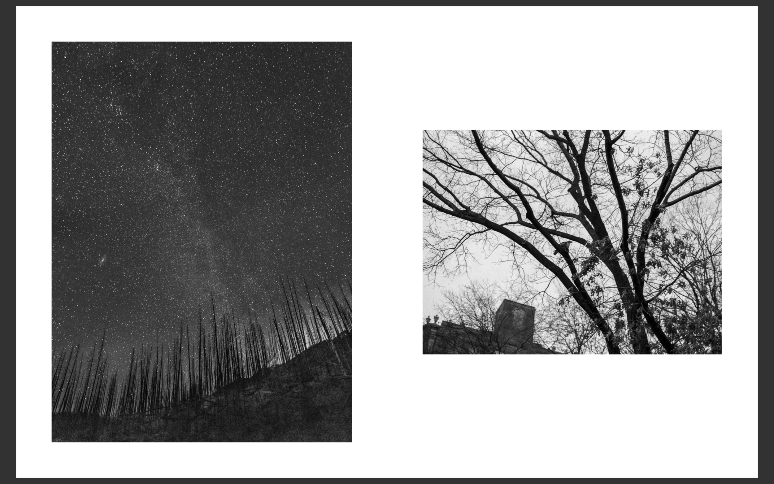 Screen Shot 2019-04-28 at 5.41.36 PM.png