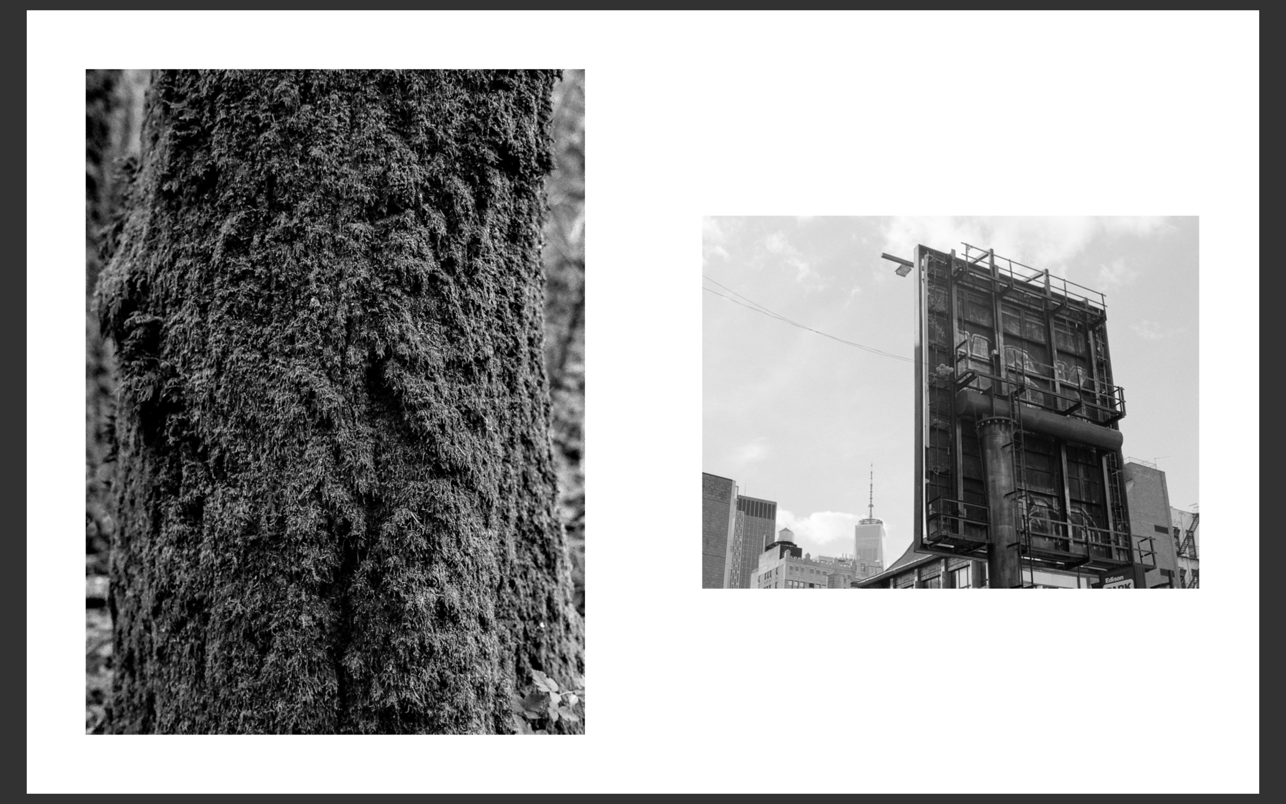 Screen Shot 2019-04-28 at 5.41.43 PM.png