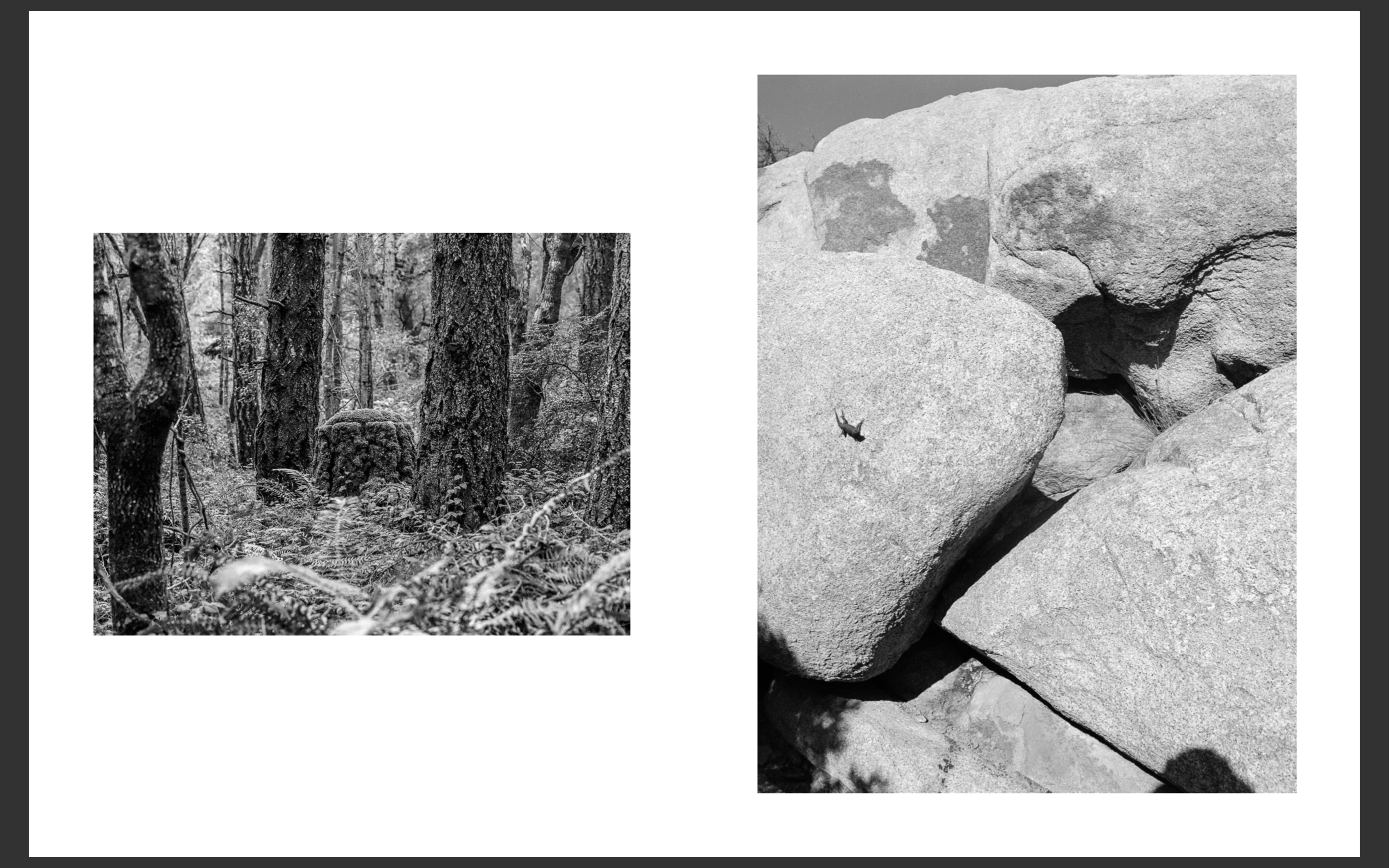 Screen Shot 2019-04-28 at 5.42.19 PM.png