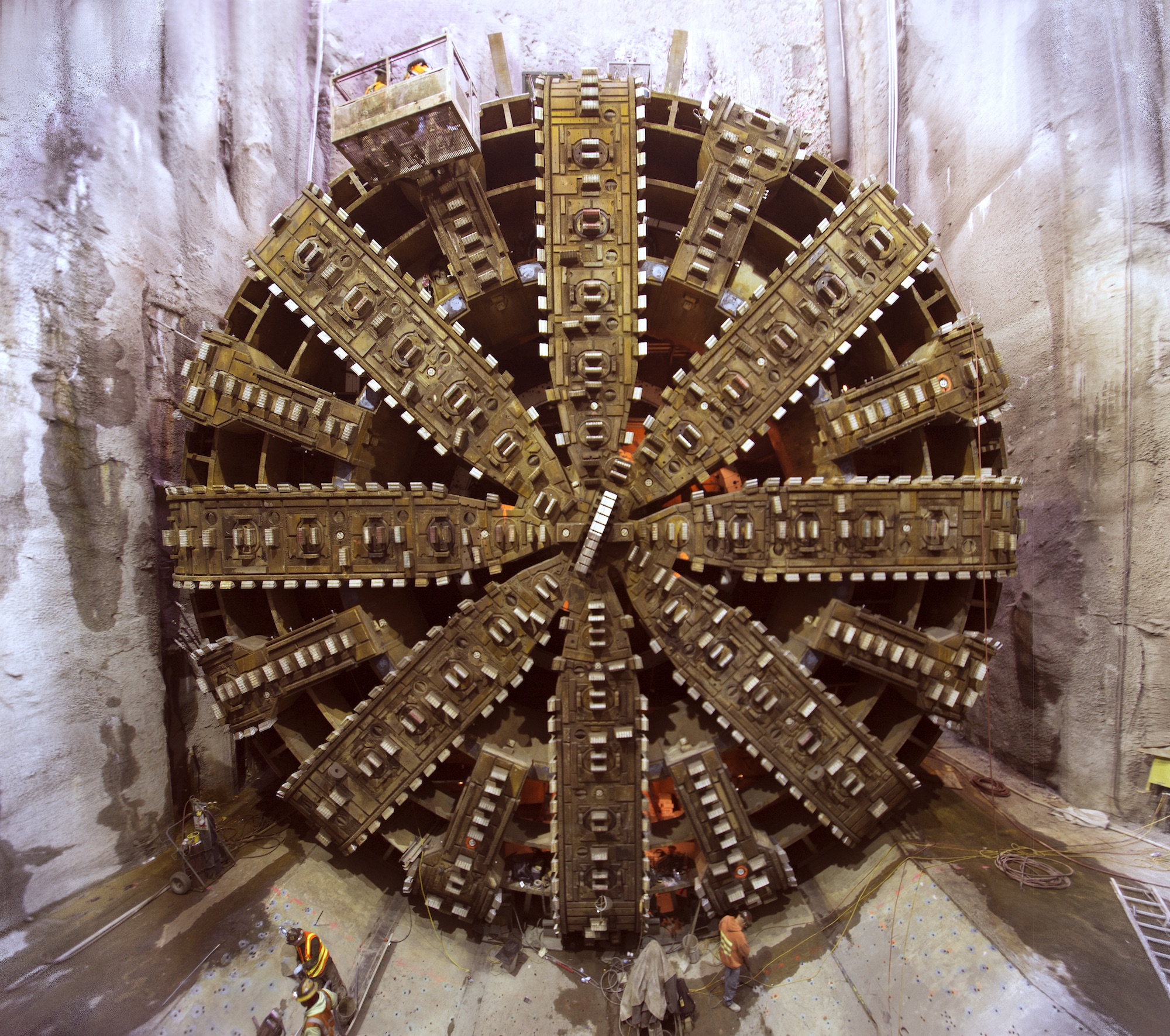 _DSC7862TBM.jpeg