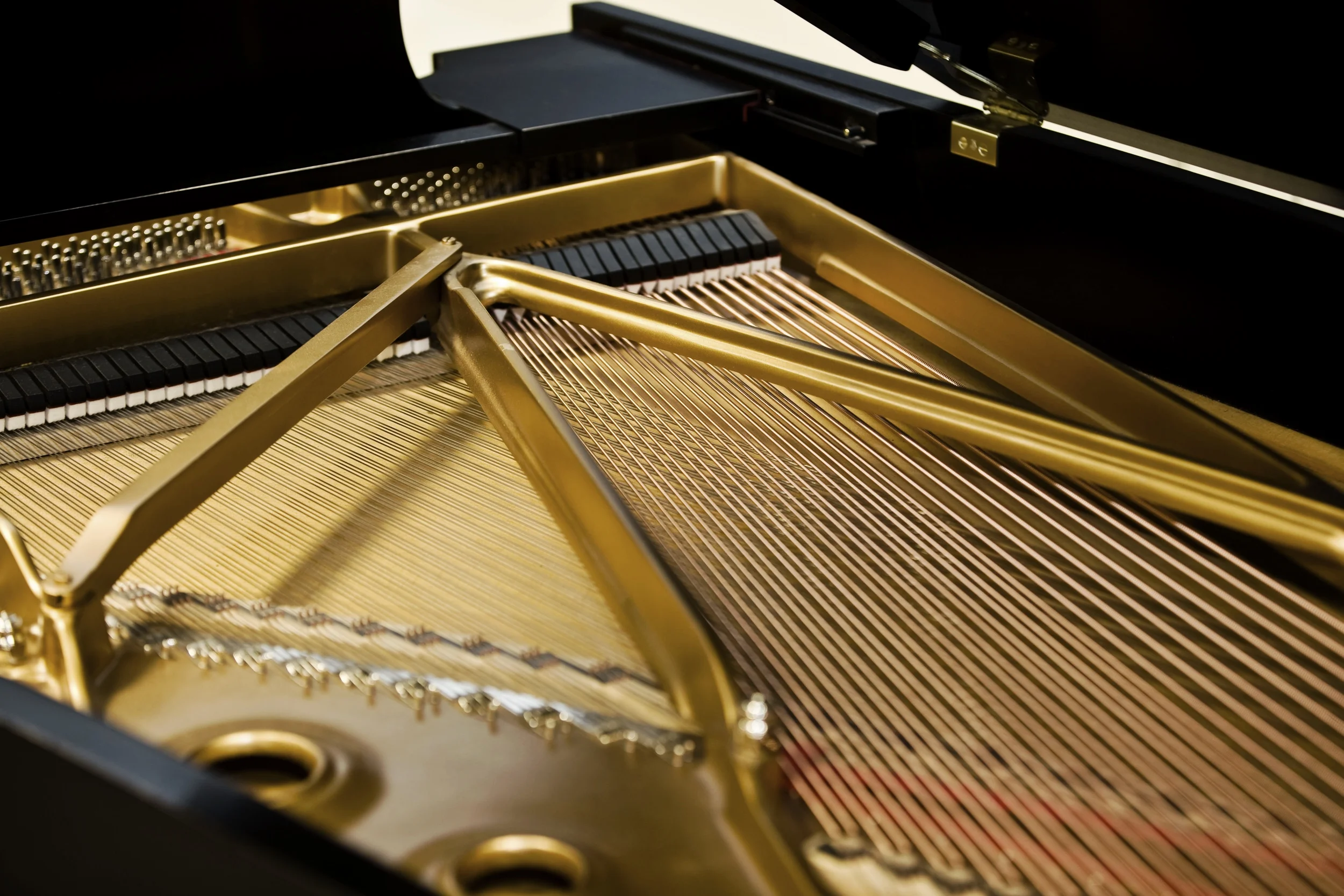 Steinway_Grand_Piano_Iron_Plates_and_Strings-2.jpg