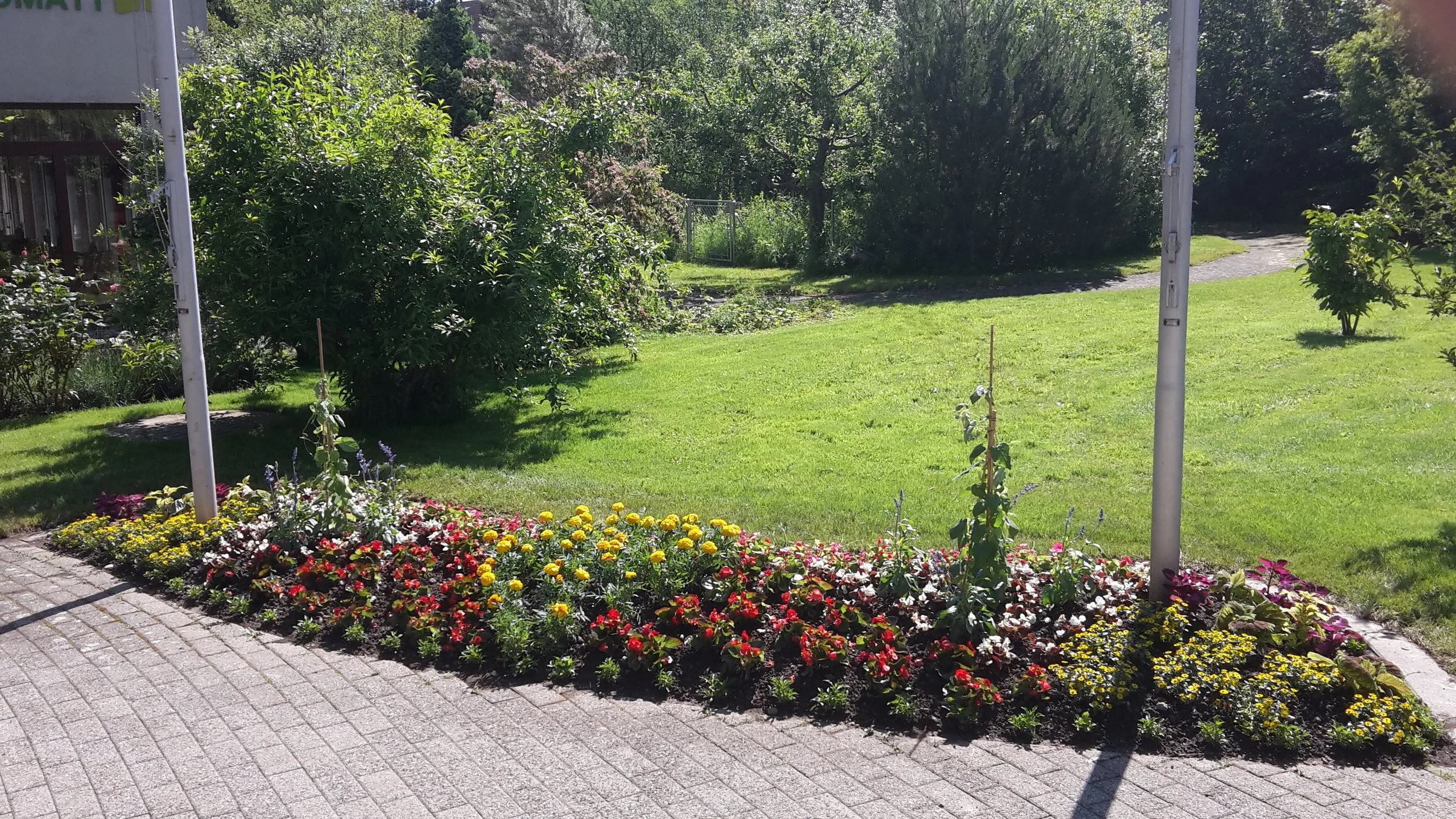 20160610_105732.jpg