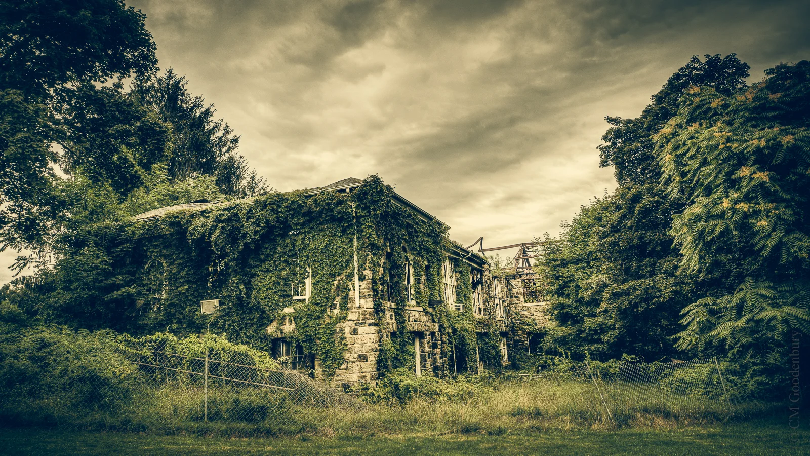 "And Ultimately, Return to the Earth" | Letchworth Village